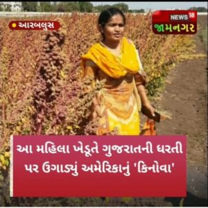 જામનગરના એક એવા મહિલા ખેડૂત કે જે અમેરિકન સુપરફૂડ કિનોઆની ખેતી કરી મેળવે છે, અઢળક આવક