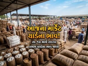 Gujarat APMC Market Bhav (29 Aug 2026): Rajkot, Gondal & Unjha Live Rates