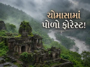 Polo Forest Monsoon Travel Guide (29 Aug)