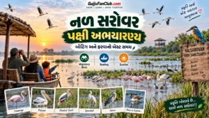 નળ સરોવર પક્ષી અભયારણ્ય (Nalsarovar): બોટિંગ અને ફરવાનો બેસ્ટ સમય