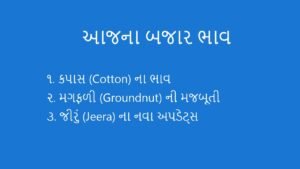Gujarat APMC Market Bhav: Cotton, Groundnut & Jeera Prices (1 September 2026)