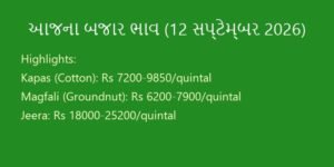 આજના ગુજરાત માર્કેટ યાર્ડના ભાવ: 12 સપ્ટેમ્બર 2026 (APMC Mandi Bhav, Gondal, Rajkot, Unjha)