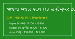 આજના ગુજરાત માર્કેટ યાર્ડના ભાવ: 13 સપ્ટેમ્બર 2026 (APMC Mandi Bhav, Gondal, Rajkot, Unjha)