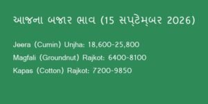 આજના ગુજરાત માર્કેટ યાર્ડના ભાવ: 15 સપ્ટેમ્બર 2026 (APMC Mandi Bhav, Gondal, Rajkot, Unjha)