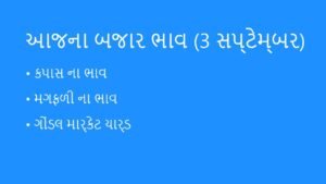 આજના બજાર ભાવ: 3 સપ્ટેમ્બર 2026 (APMC Market Bhav)