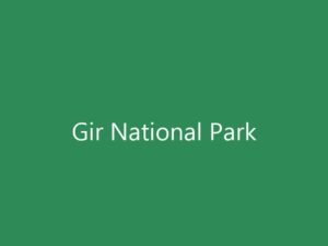 ગીર નેશનલ પાર્ક (Gir National Park) ની મુલાકાત: એશિયાટીક સિંહ દર્શન માટેની સંપૂર્ણ ટૂર ગાઈડ