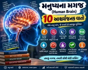 મનુષ્યના મગજ (Human Brain) વિશેની 10 આશ્ચર્યજનક વાતો જે તમને ચોંકાવી દેશે