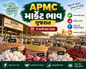 ગુજરાતના માર્કેટ યાર્ડના ભાવ: 9 સપ્ટેમ્બર 2026