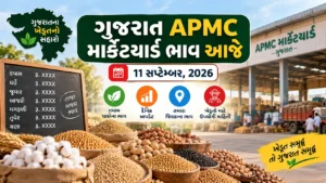 આજના ગુજરાત માર્કેટ યાર્ડના ભાવ: 11 સપ્ટેમ્બર 2026 (APMC Mandi Bhav, Gondal, Rajkot, Unjha)