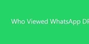WhatsApp પર તમારી પ્રોફાઇલ ફોટો (DP) કોણ જુએ છે? કેવી રીતે જાણવું?