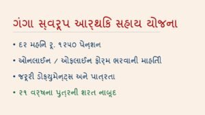 વિધવા સહાય યોજના (ગંગા સ્વરૂપ આર્થિક સહાય): ફોર્મ કેવી રીતે ભરવું?