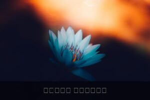 —