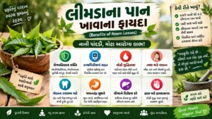 લીમડાના પાન ખાવાના ફાયદા (Benefits of Neem Leaves)