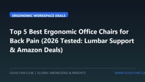 Top 5 Best Ergonomic Office Chairs for Back Pain and Long Work Hours (2026 Tested: Lumbar Support & Amazon Deals)