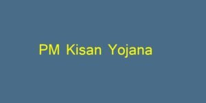 પીએમ કિસાન સન્માન નિધિ યોજના (PM Kisan 18th Installment): આ ખેડૂતોના ખાતામાં જમા થશે 2000 રૂપિયા, જલ્દી ચેક કરો લિસ્ટ